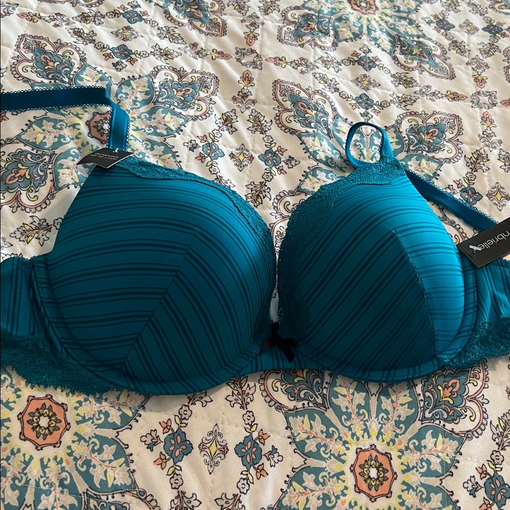 Ambrielle Teal Striped Bra